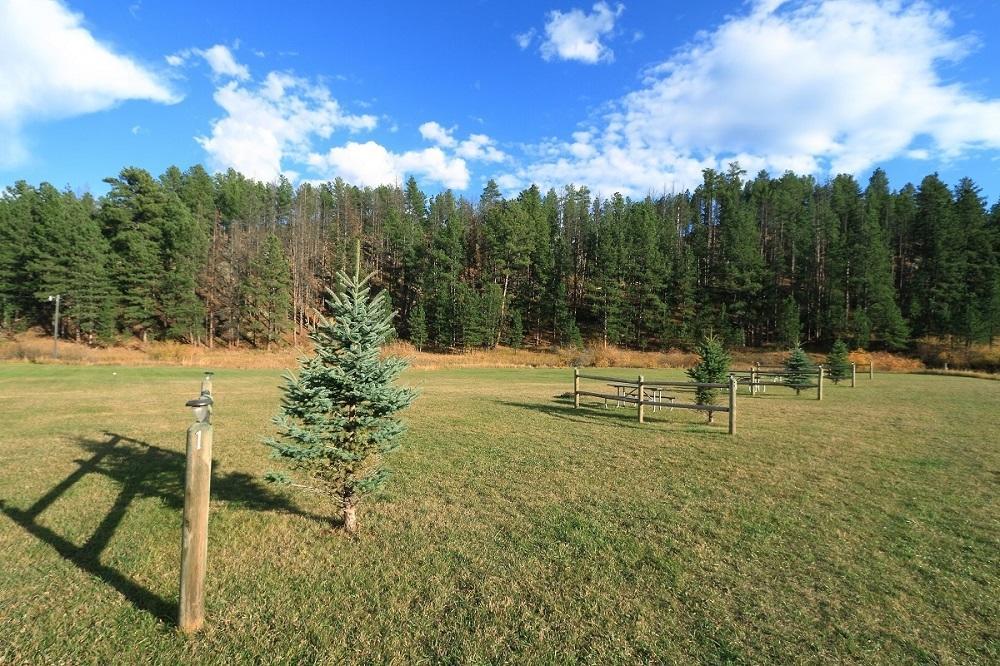Black Elk Resort Hill City Oda fotoğraf