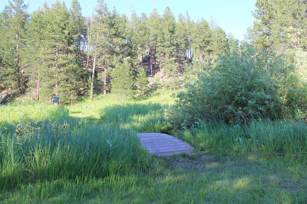 Black Elk Resort Hill City Dış mekan fotoğraf